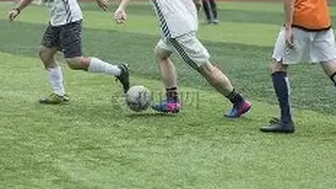 2025版上海体彩社会责任报告正式亮相