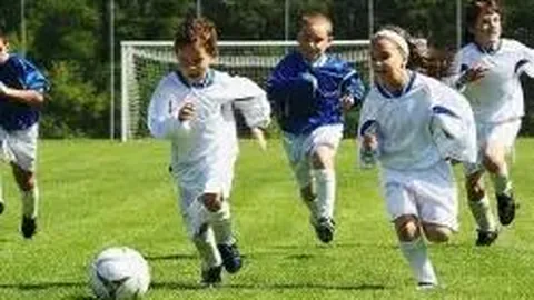 京东11.11狂欢盛宴：百家品牌、明星齐助阵，全方位“豪请”生活！