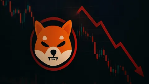 单臂舵手成功驾驭双体帆船环绕地球